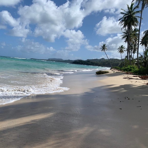 Meet your Posher, Ro - Picture 1 of 1